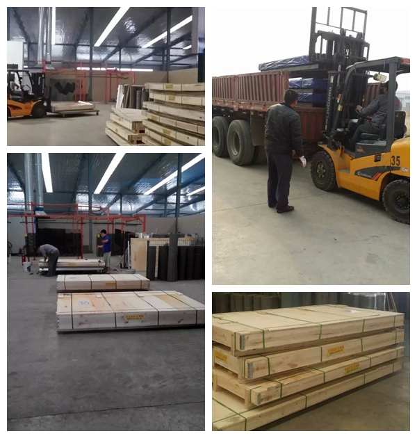 أسود 316 الفولاذ المقاوم للصدأ محبوك شبكة ، البعوض 10 شبكة سلكية قياس 1